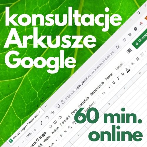 Konsultacje online Arkusze Google (60 min.)