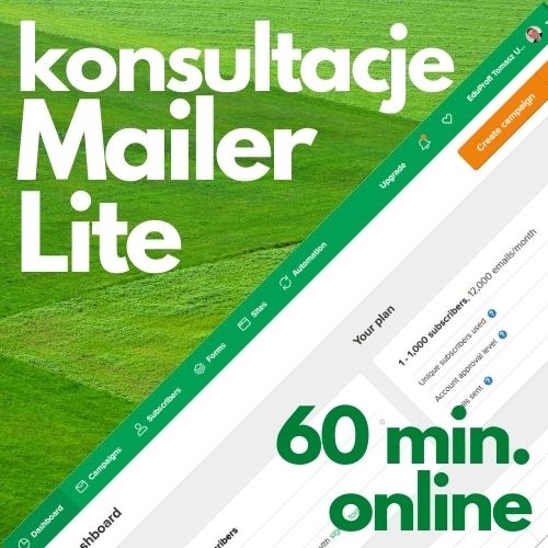 Konsultacje online MailerLite (60 min.)