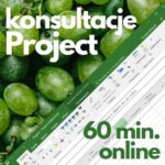 Konsultacje Microsoft Project (60 min. online)