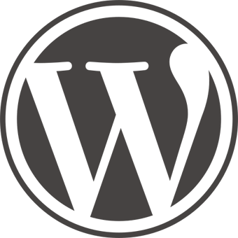 Projektuję profesjonalne i responsywne strony WWW w WordPress. Wysoka estetyka, praktyczna ergonomia oraz całkowity brak literówek gwarantowane.