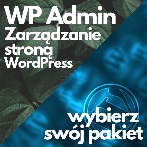Program WP Admin - Zarządzanie stroną WordPress